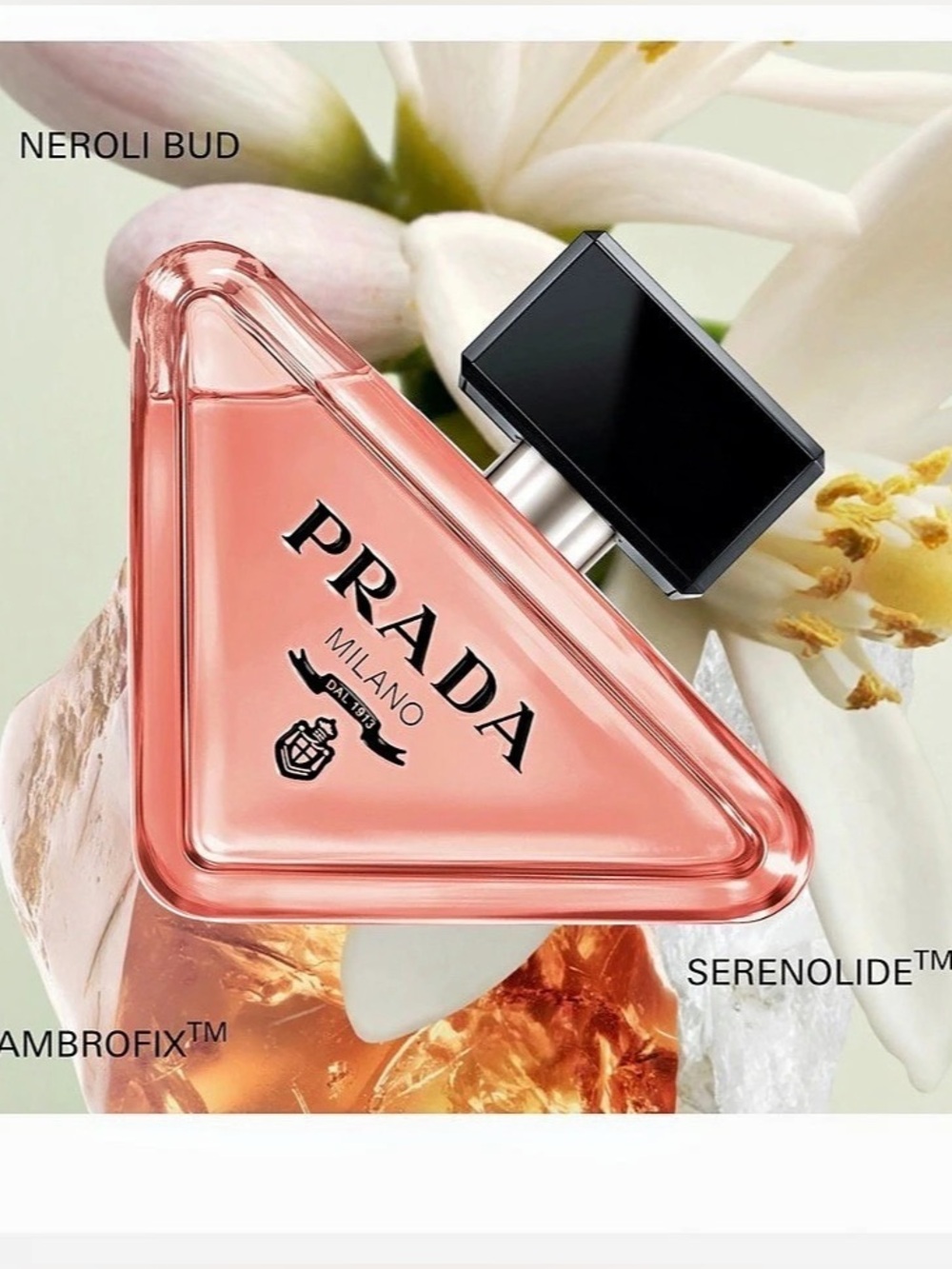 Prada Paradoxe Mini